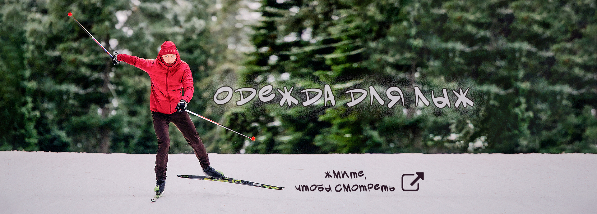 расписание