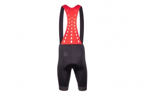 Велотрусы NALINI NEW ERGO BIB SHORT (4000)