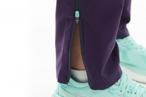 Спортивные штаны BIVIUM КАНТРИ 3.0 (женские, сливовые)