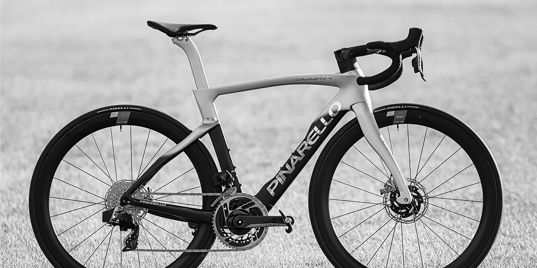 DOGMA F